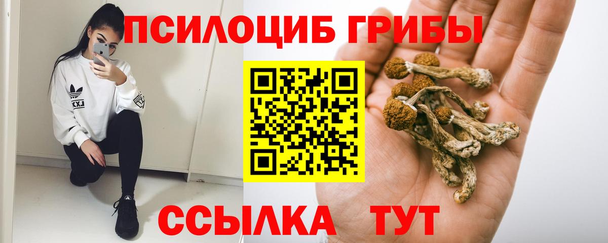 Галлюциногенные грибы мицелий  Псилоцибиновые грибы Psilocybine cubensis  Орёл  цены   Вход с VPN 